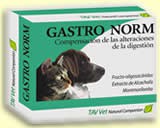 gastronorm